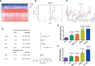 Identifying Apoptosis-Related Transcriptomic Aberrations and Revealing Clinical Relevance as Diagnostic and Prognostic Biomarker in Hepatocellular Carcinoma